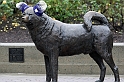 2010 Pac-10 - 265